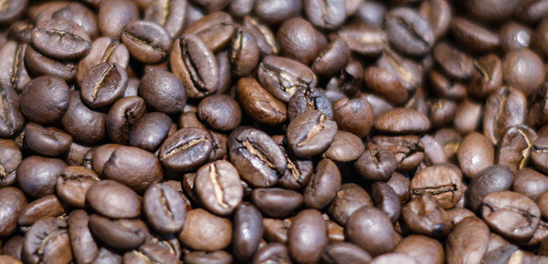 Kaffee­maschinen bei Dendl Elektro GbR in München